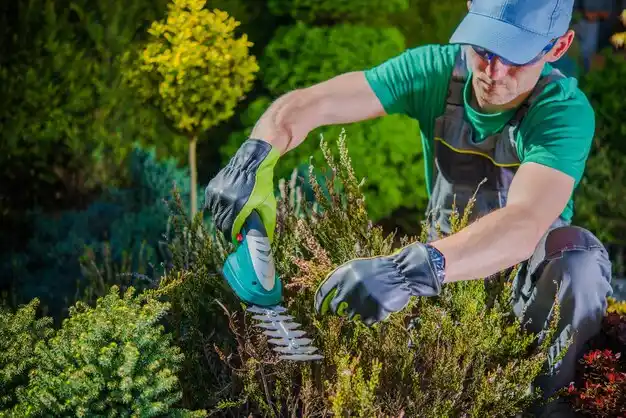 landscaping services Natchez